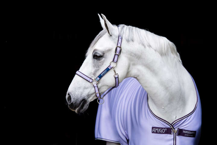 Horseware AMIGO Abschwitzdecke Jersey Cooler